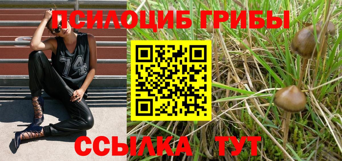 Псилоцибиновые грибы Psilocybe  Псилоцибиновые грибы ЛСД  Ишим  Вход с VPN 