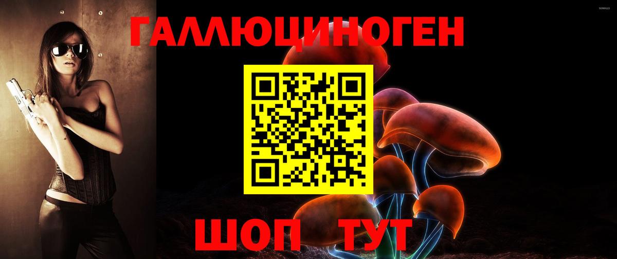 Галлюциногенные грибы Psilocybe Ишим